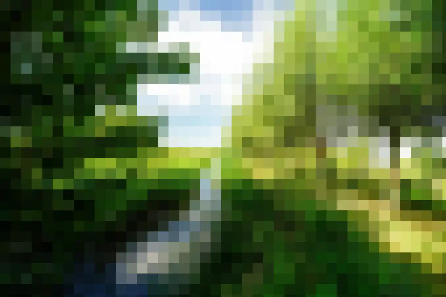 Stompwijkseweg 27 Leidschendam thumbnail 55