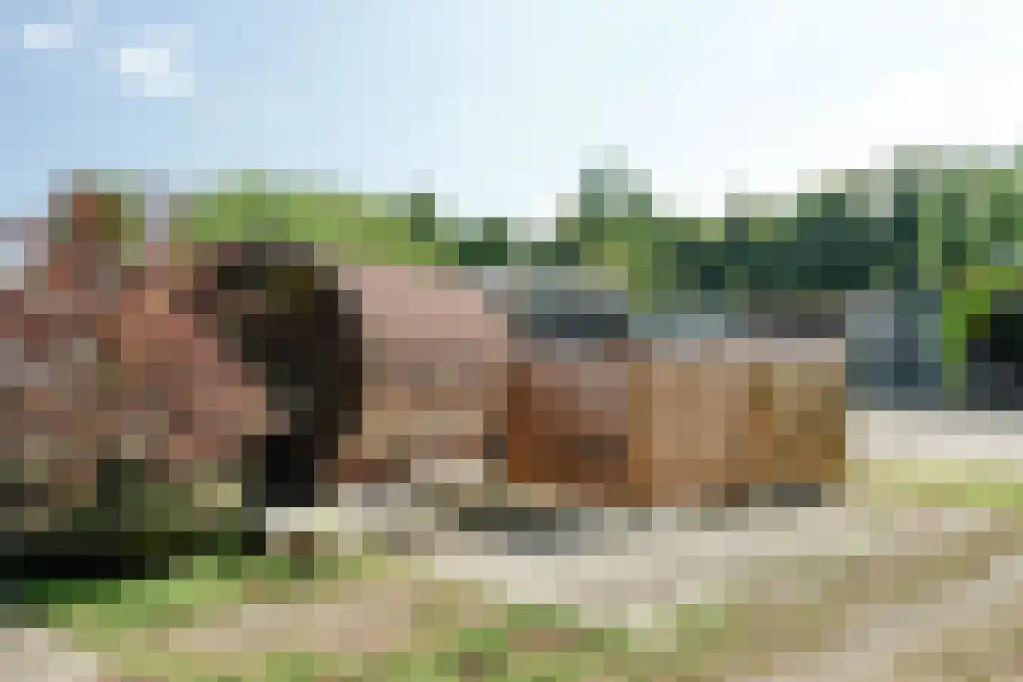 Stompwijkseweg 27 Leidschendam thumbnail 80