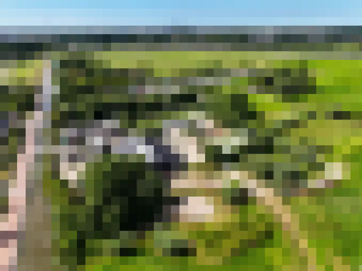 Stompwijkseweg 27 Leidschendam thumbnail 86