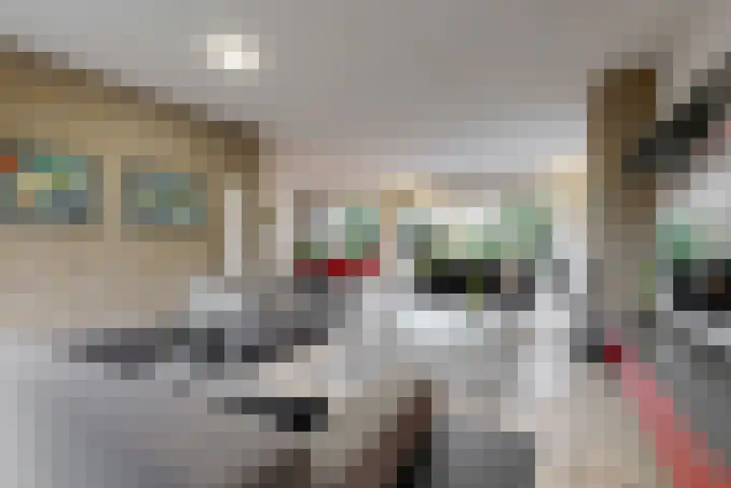 Stompwijkseweg 5 Zoeterwoude thumbnail 10