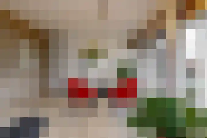 Stompwijkseweg 5 Zoeterwoude thumbnail 14