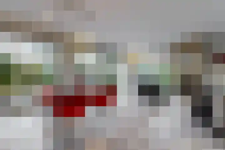Stompwijkseweg 5 Zoeterwoude thumbnail 16