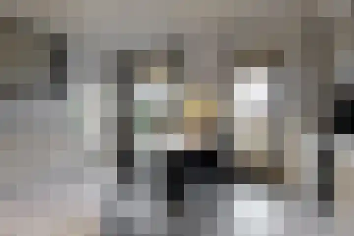 Stompwijkseweg 5 Zoeterwoude thumbnail 18