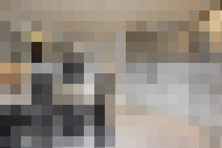 Stompwijkseweg 5 Zoeterwoude thumbnail 19