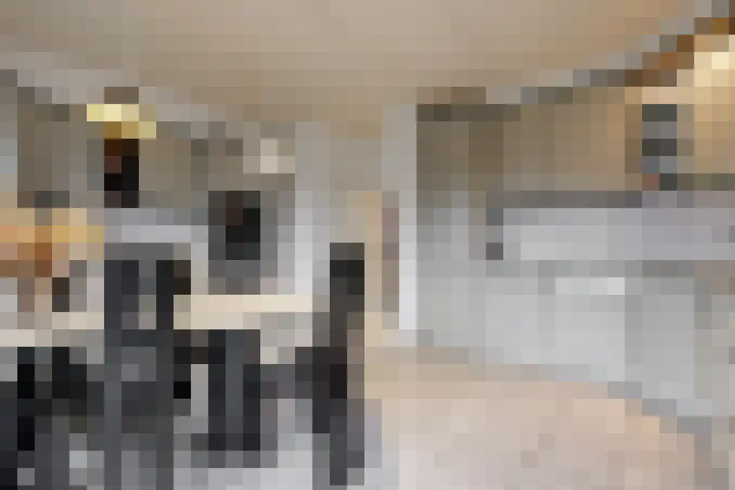 Stompwijkseweg 5 Zoeterwoude thumbnail 19