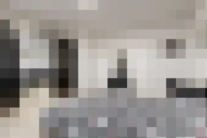 Stompwijkseweg 5 Zoeterwoude thumbnail 21