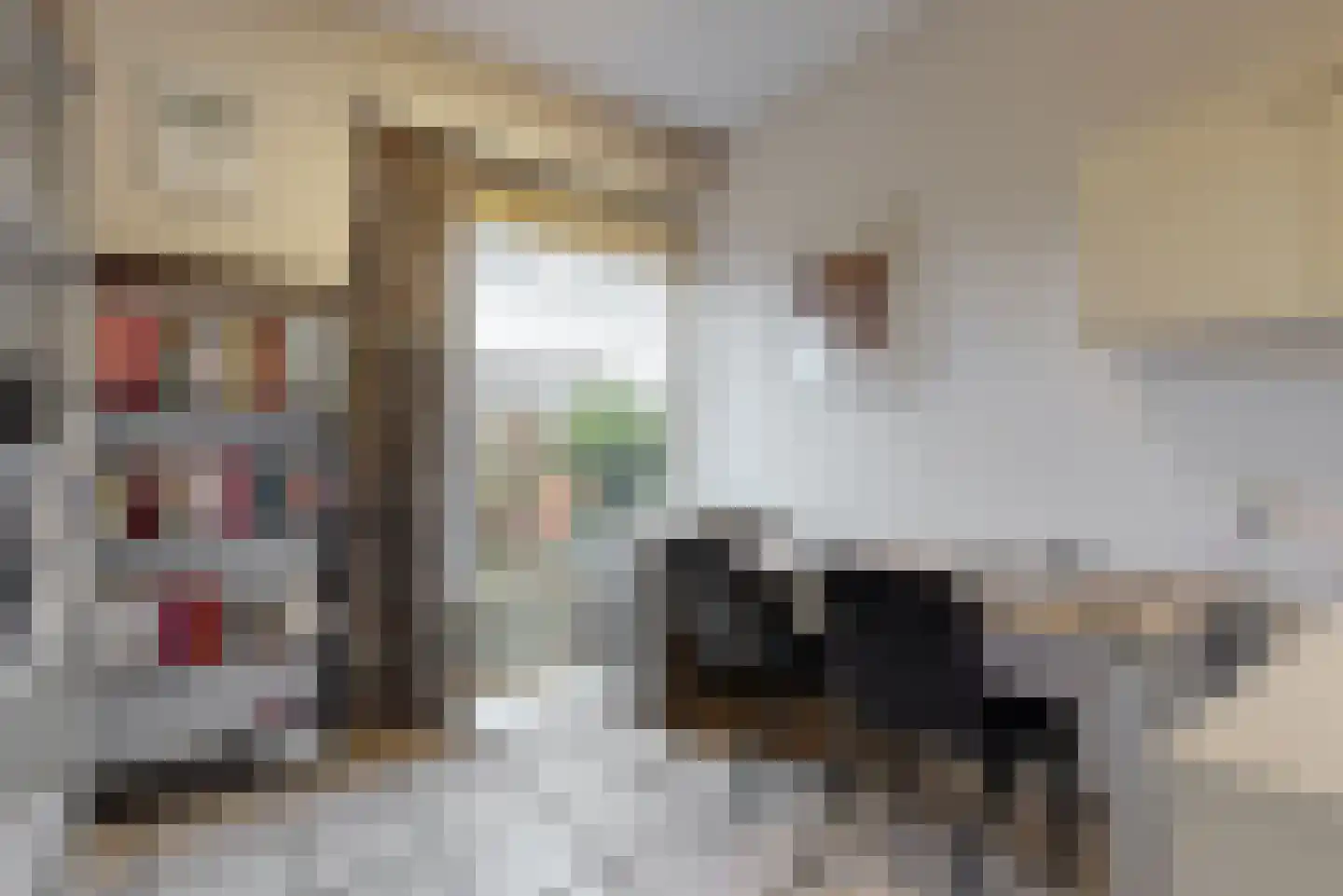 Stompwijkseweg 5 Zoeterwoude thumbnail 26