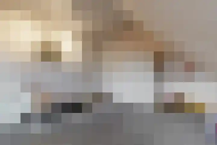 Stompwijkseweg 5 Zoeterwoude thumbnail 32