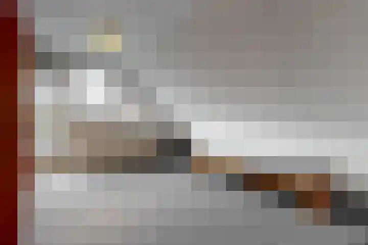 Stompwijkseweg 5 Zoeterwoude thumbnail 33