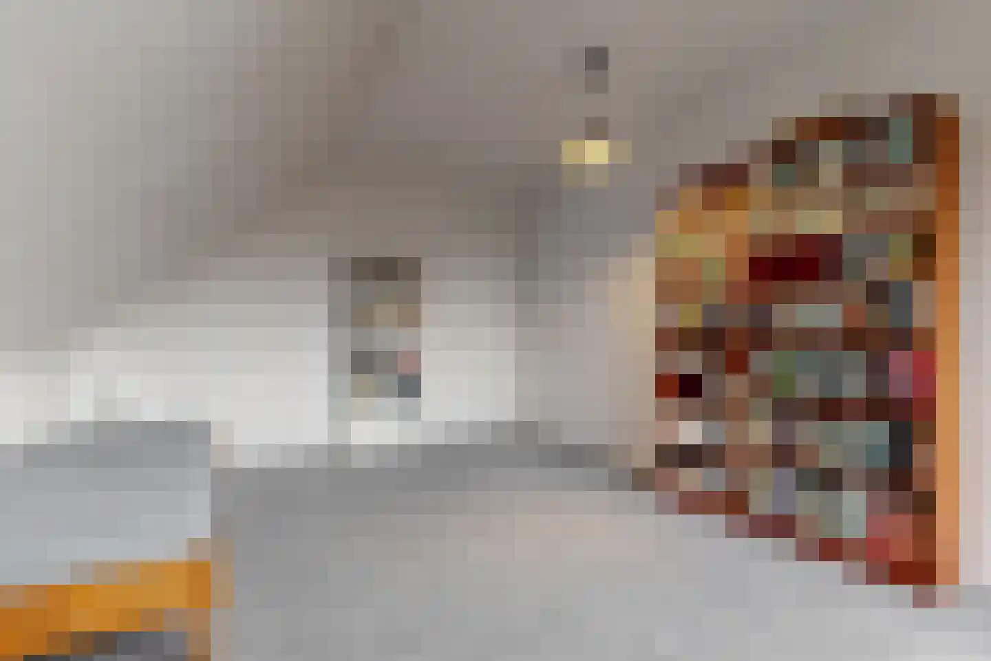 Stompwijkseweg 5 Zoeterwoude thumbnail 34