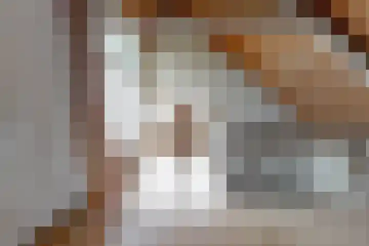 Stompwijkseweg 5 Zoeterwoude thumbnail 40