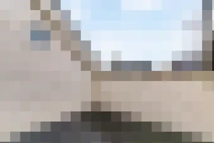 Stompwijkseweg 5 Zoeterwoude thumbnail 42