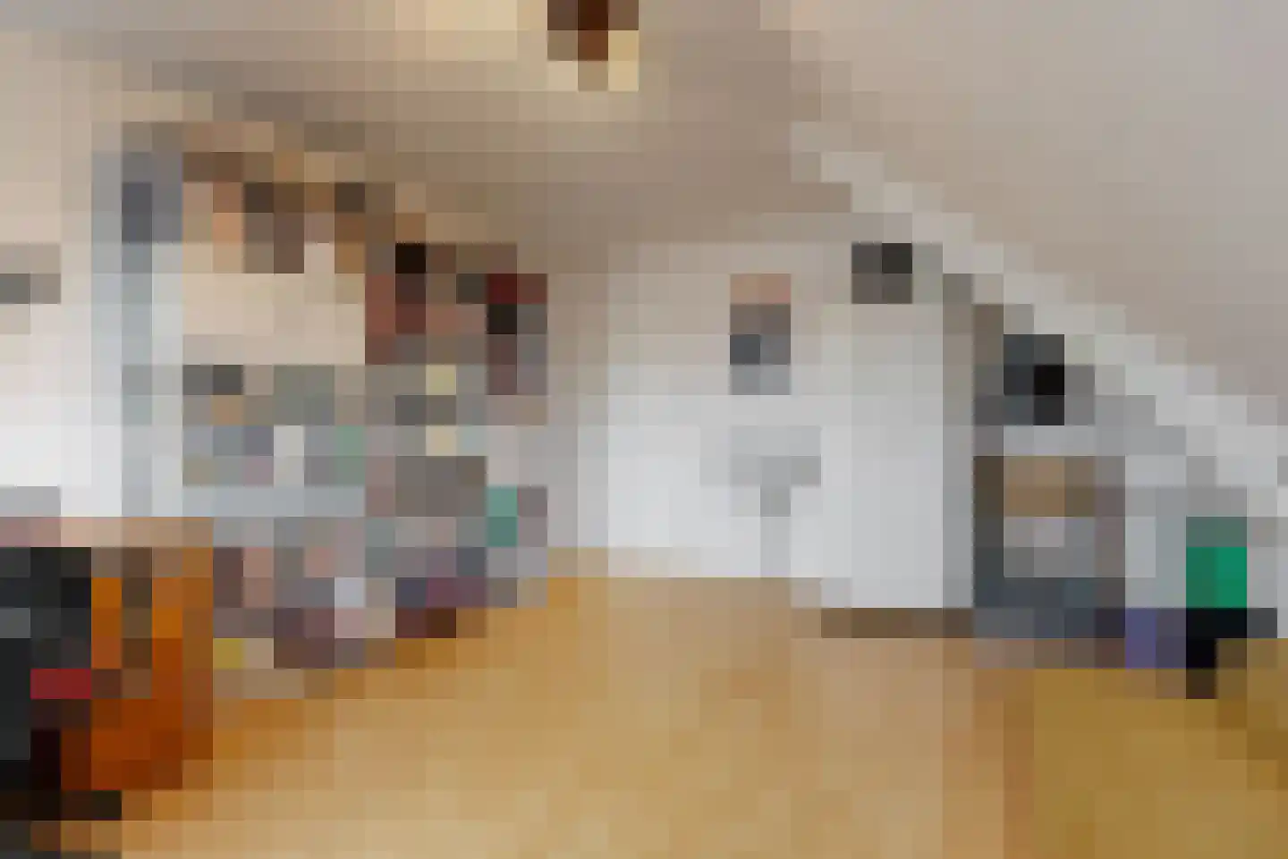 Stompwijkseweg 5 Zoeterwoude thumbnail 44