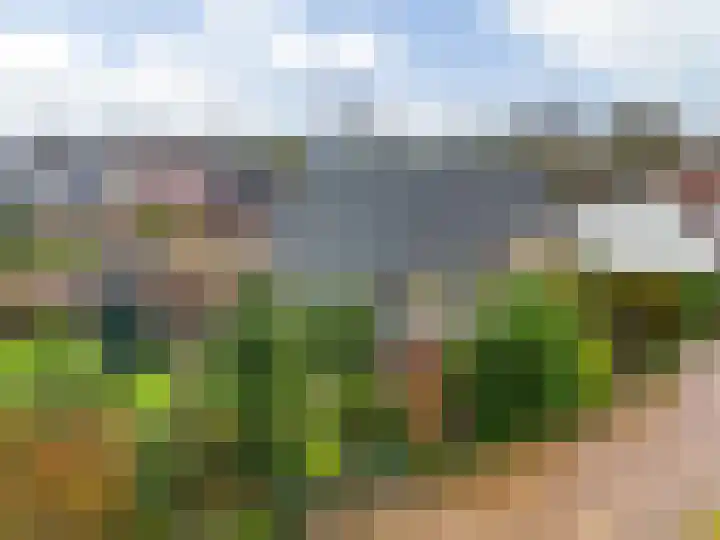 Stompwijkseweg 5 Zoeterwoude thumbnail 5