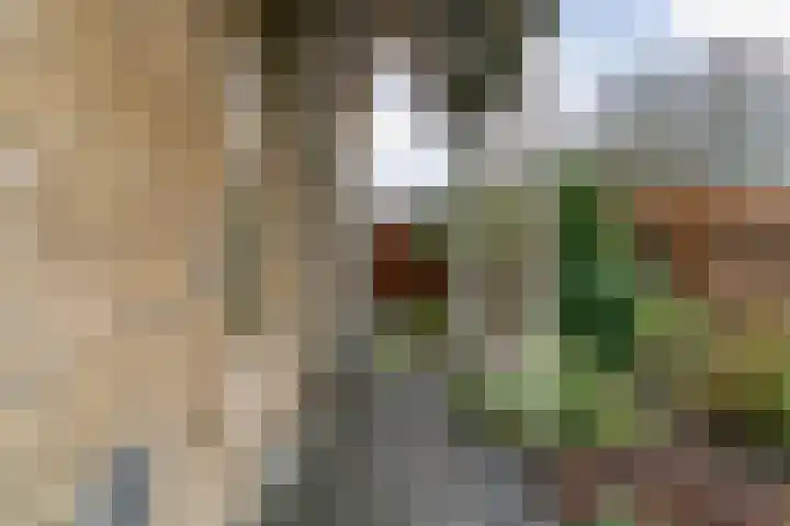 Stompwijkseweg 5 Zoeterwoude thumbnail 50
