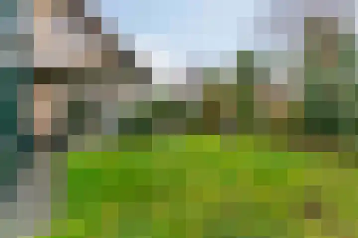 Stompwijkseweg 5 Zoeterwoude thumbnail 51
