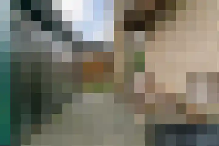 Stompwijkseweg 5 Zoeterwoude thumbnail 52