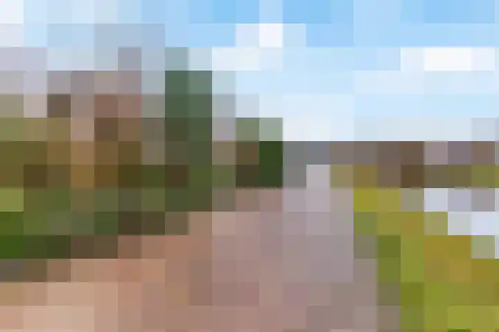 Stompwijkseweg 5 Zoeterwoude thumbnail 60