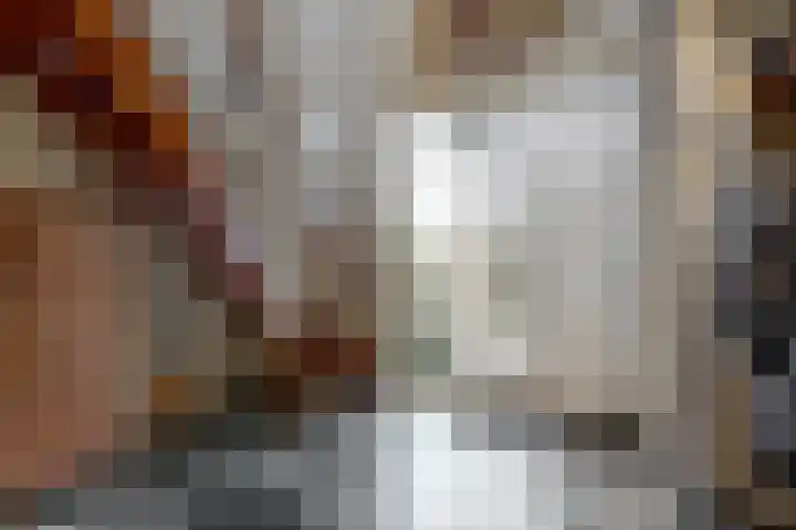 Stompwijkseweg 5 Zoeterwoude thumbnail 7