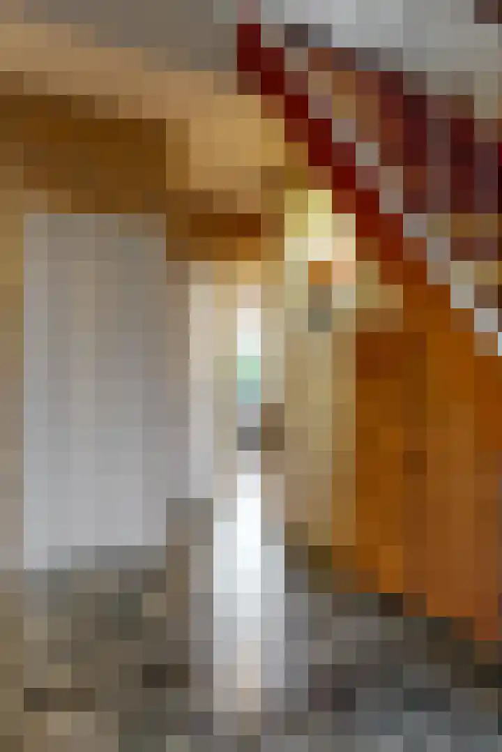 Stompwijkseweg 5 Zoeterwoude thumbnail 8