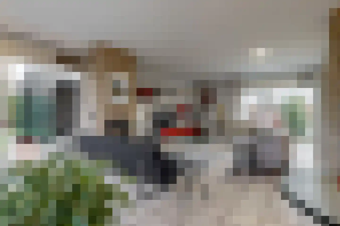 Stompwijkseweg 5 Zoeterwoude thumbnail 9