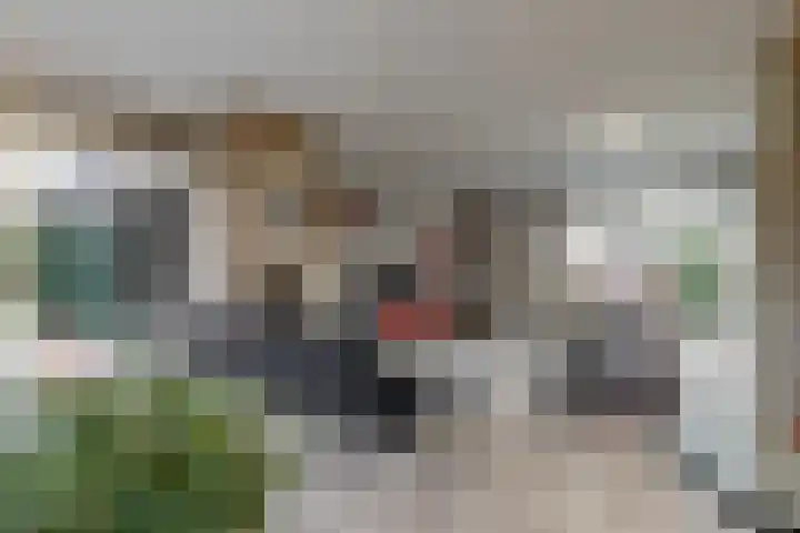 Stompwijkseweg 5 Zoeterwoude thumbnail 9