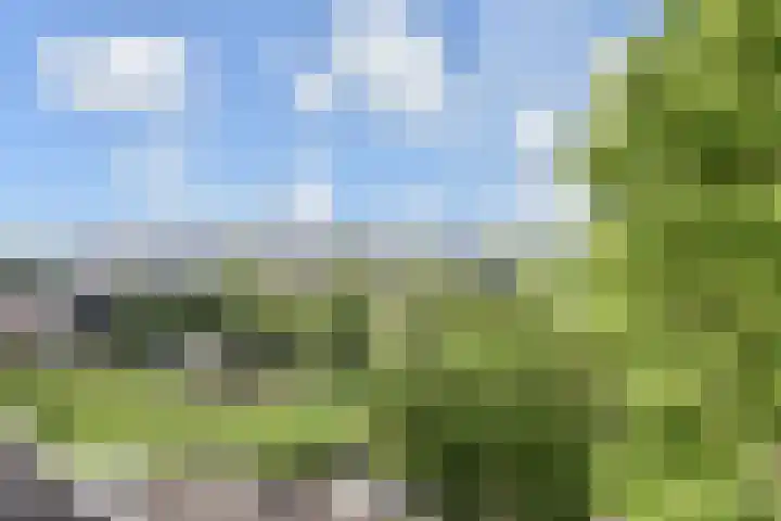 Stompwijkseweg 57 B Leidschendam thumbnail 50