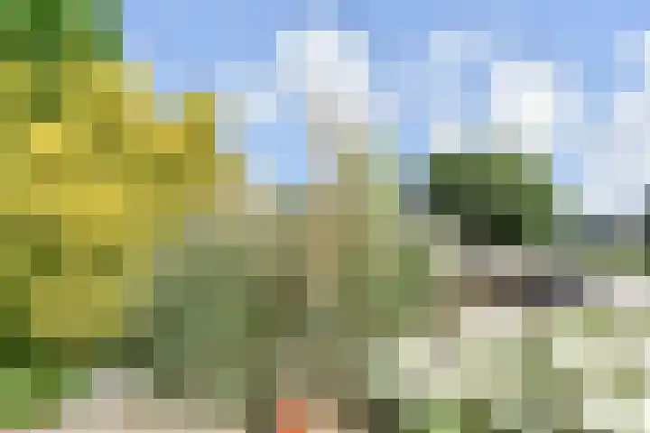 Stompwijkseweg 57 B Leidschendam thumbnail 7