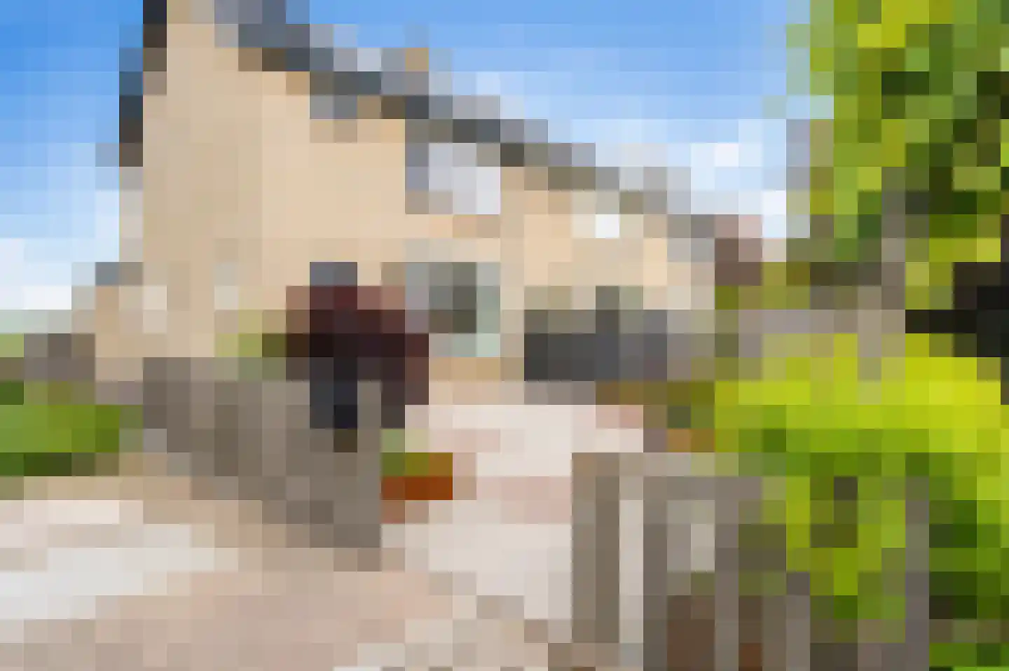Stompwijkseweg 61 Leidschendam thumbnail 6
