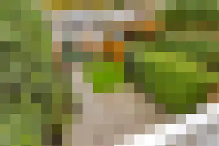 Stoofboogerd 4 Kapelle thumbnail 26