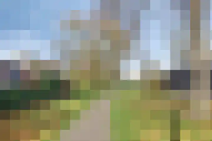 Stoofboogerd 4 Kapelle thumbnail 34
