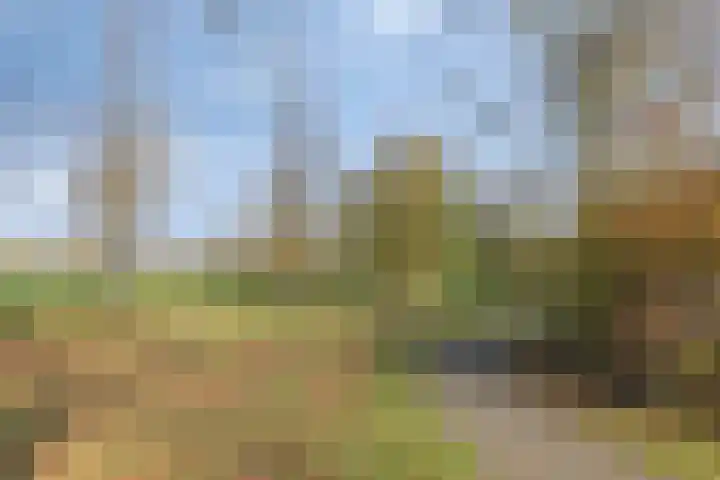 Stoofboogerd 4 Kapelle thumbnail 35