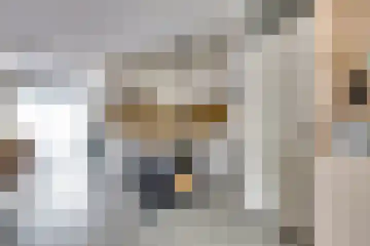 Stoofboogerd 8 Kapelle thumbnail 11