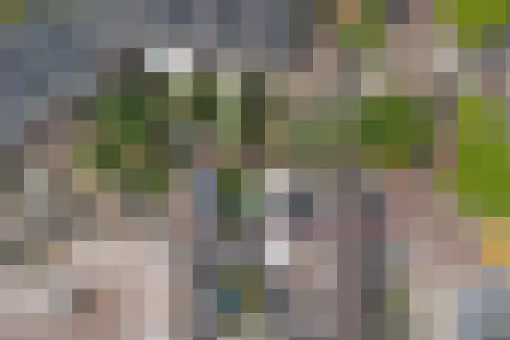 Stoofboogerd 8 Kapelle thumbnail 33