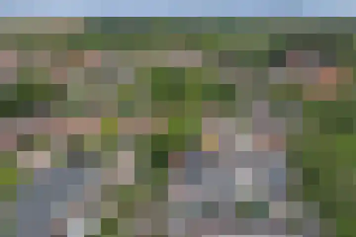 Stoofboogerd 8 Kapelle thumbnail 35