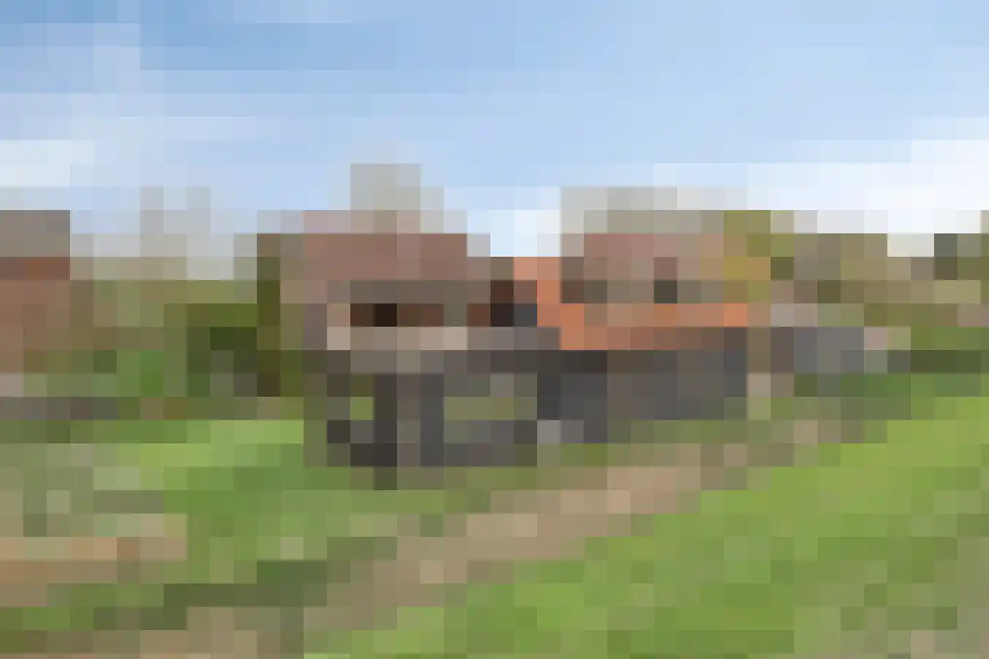 Stoofdijk 108 Dinteloord thumbnail 5