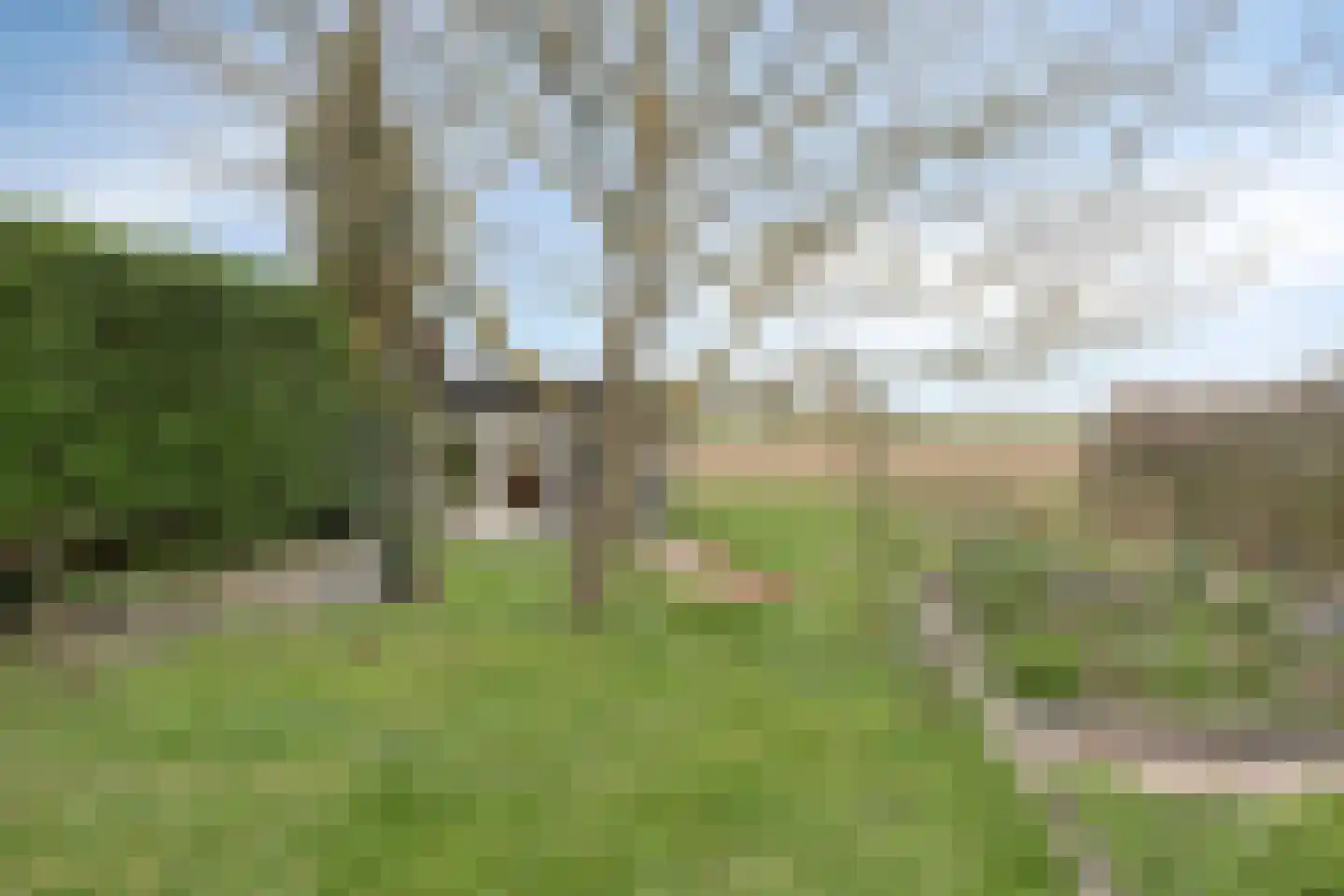 Stoofdijk 108 Dinteloord thumbnail 58