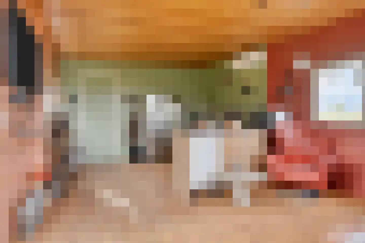 Stoofdijk 108 Dinteloord thumbnail 65