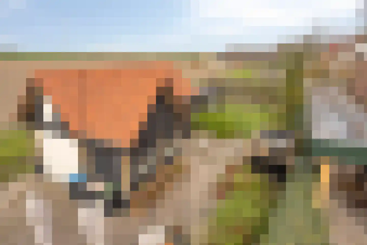 Stoofdijk 108 Dinteloord thumbnail 71