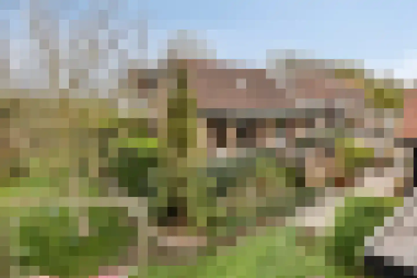 Stoofdijk 108 Dinteloord thumbnail 73