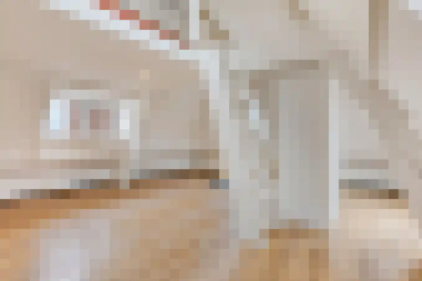 Stoofdijk 2 Dinteloord thumbnail 39