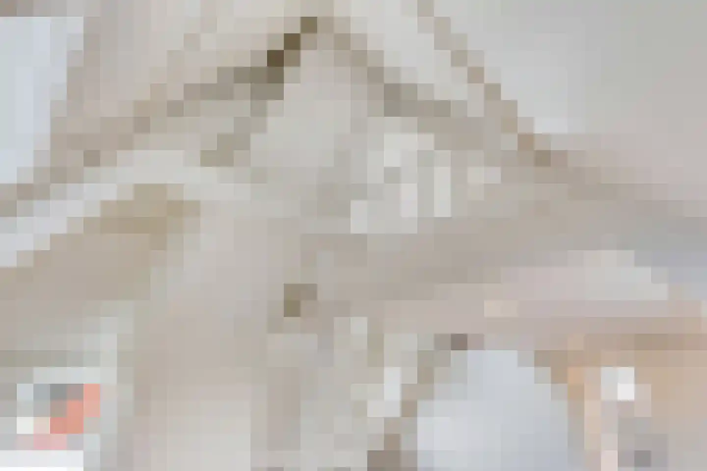 Stoofdijk 2 Dinteloord thumbnail 41