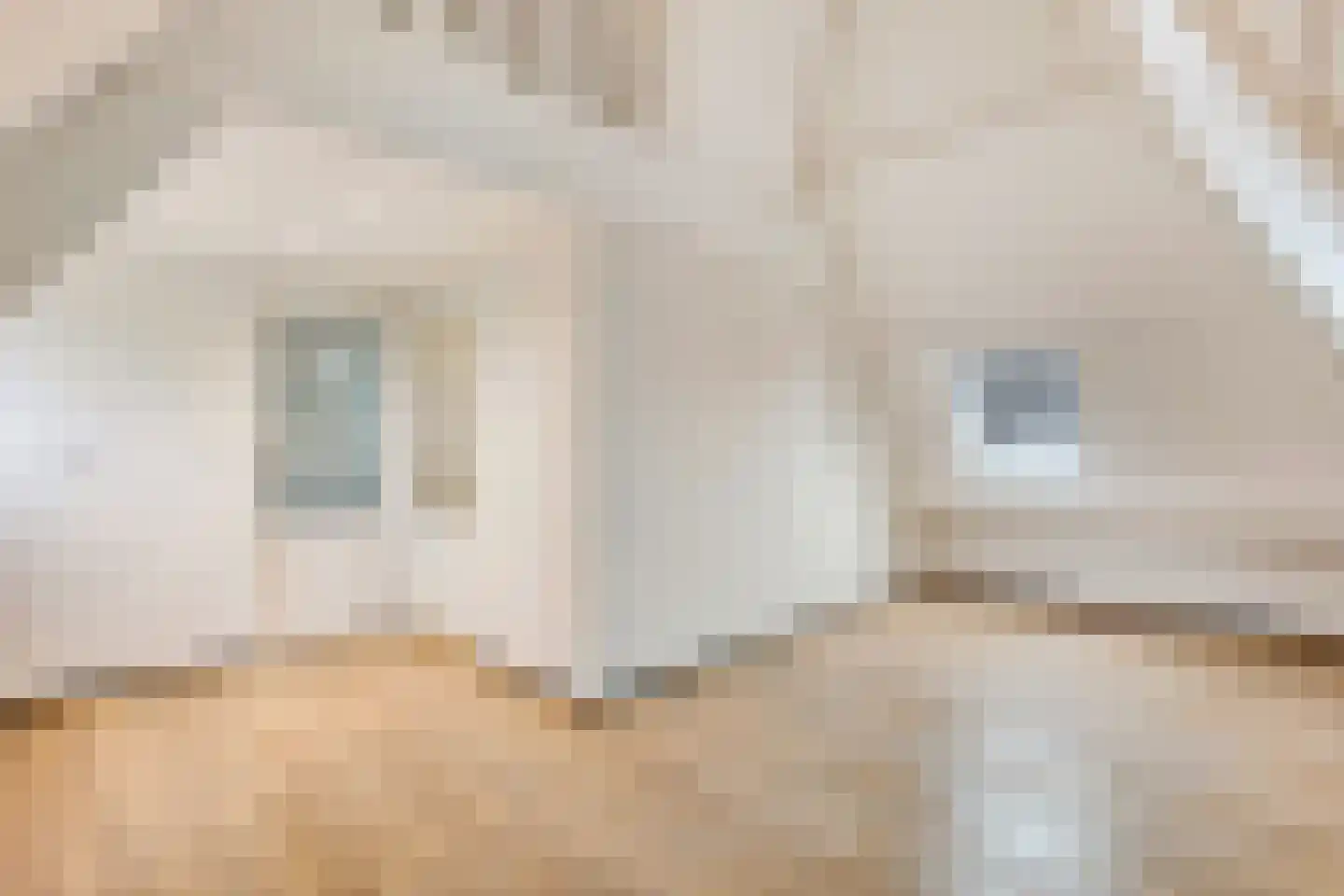 Stoofdijk 2 Dinteloord thumbnail 45