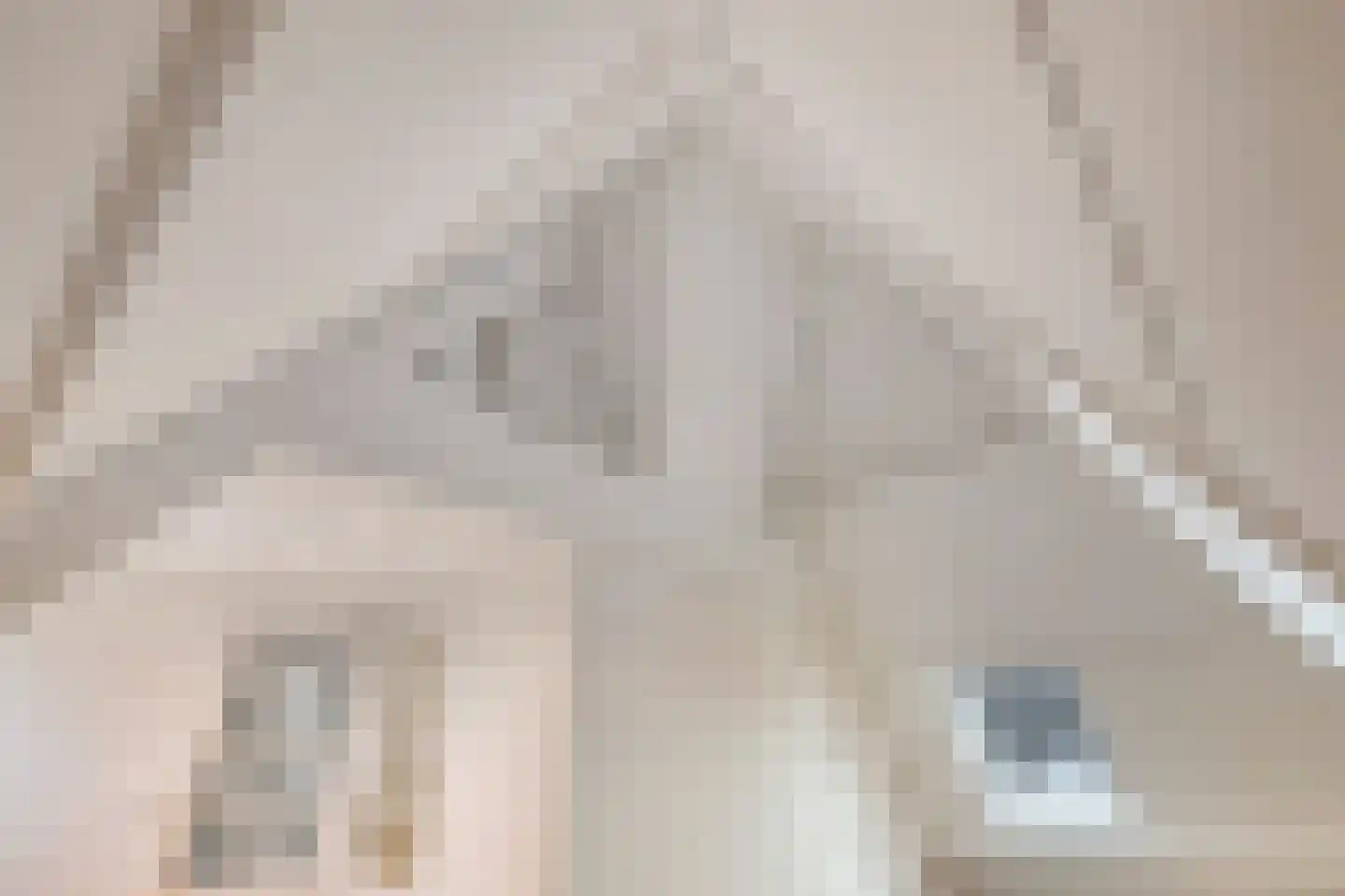 Stoofdijk 2 Dinteloord thumbnail 46
