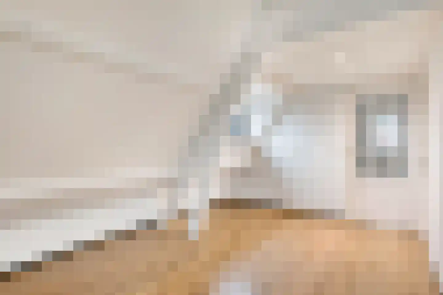 Stoofdijk 2 Dinteloord thumbnail 49