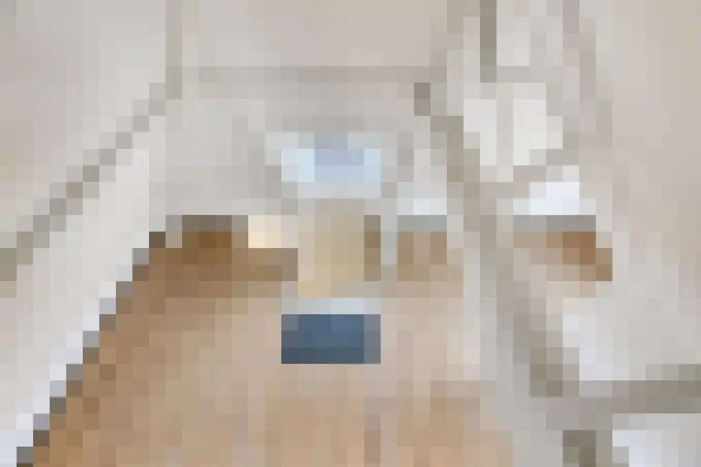 Stoofdijk 2 Dinteloord thumbnail 53