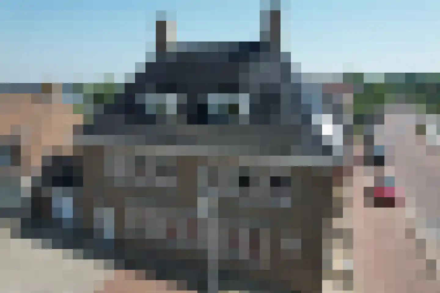 Stoofdijk 2 Dinteloord thumbnail 62