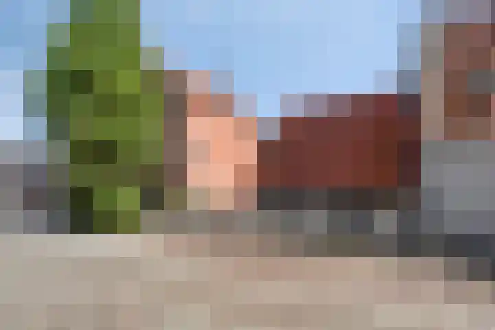 Stoofdijk 2 Stavenisse thumbnail 20