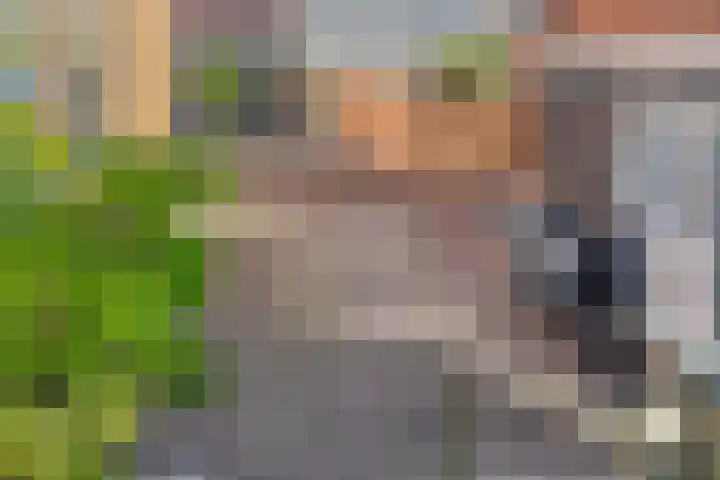Stoofdijk 2 Stavenisse thumbnail 4