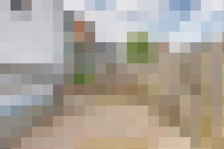 Stoofdijk 25 Stavenisse thumbnail 26